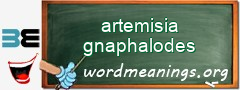 WordMeaning blackboard for artemisia gnaphalodes
